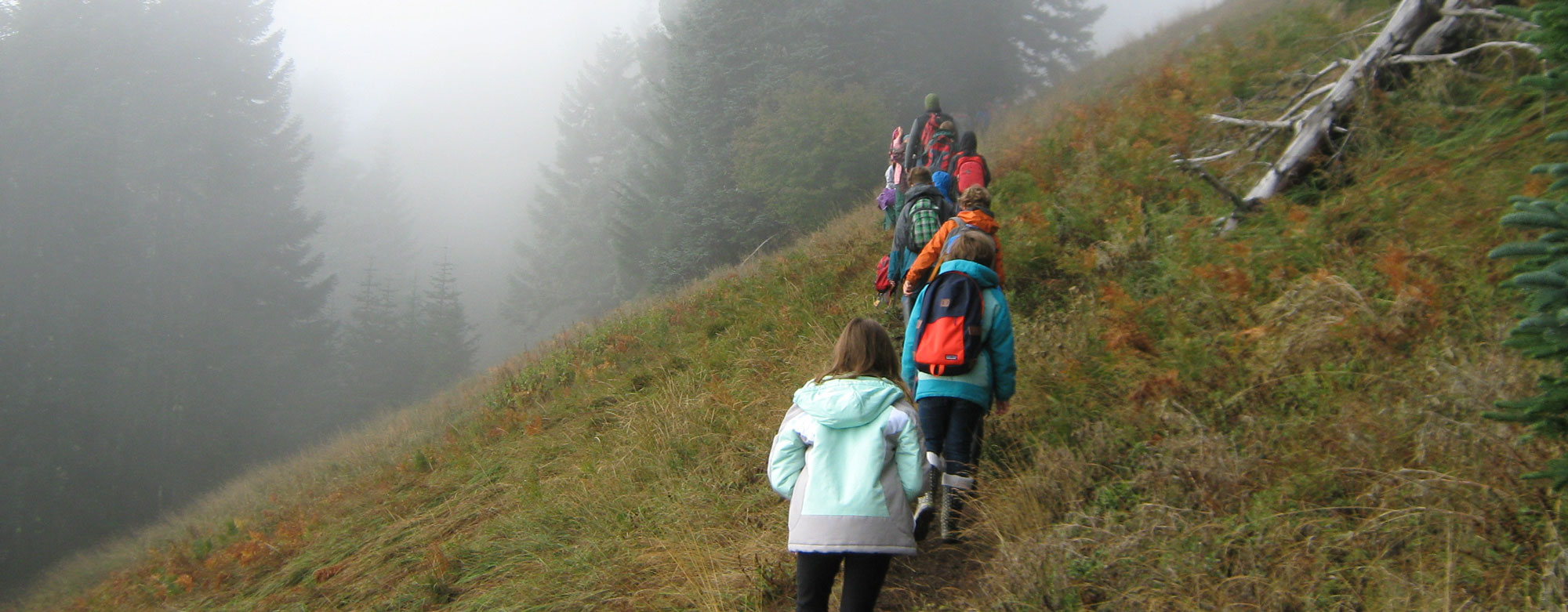 Students hiking